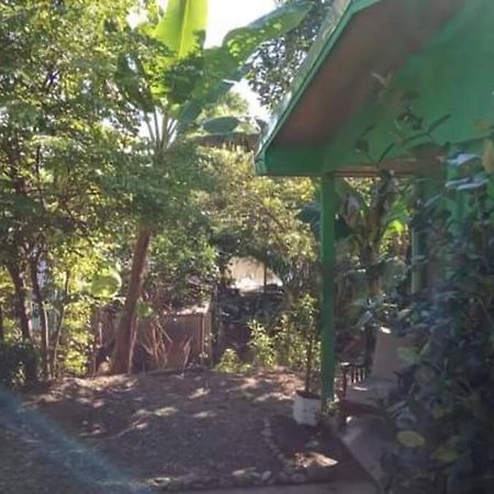 Casa Flor De Annia ~ Cozy 2 Bdrm On The River Sierpe ~ Walkable To Town Villa Exterior photo