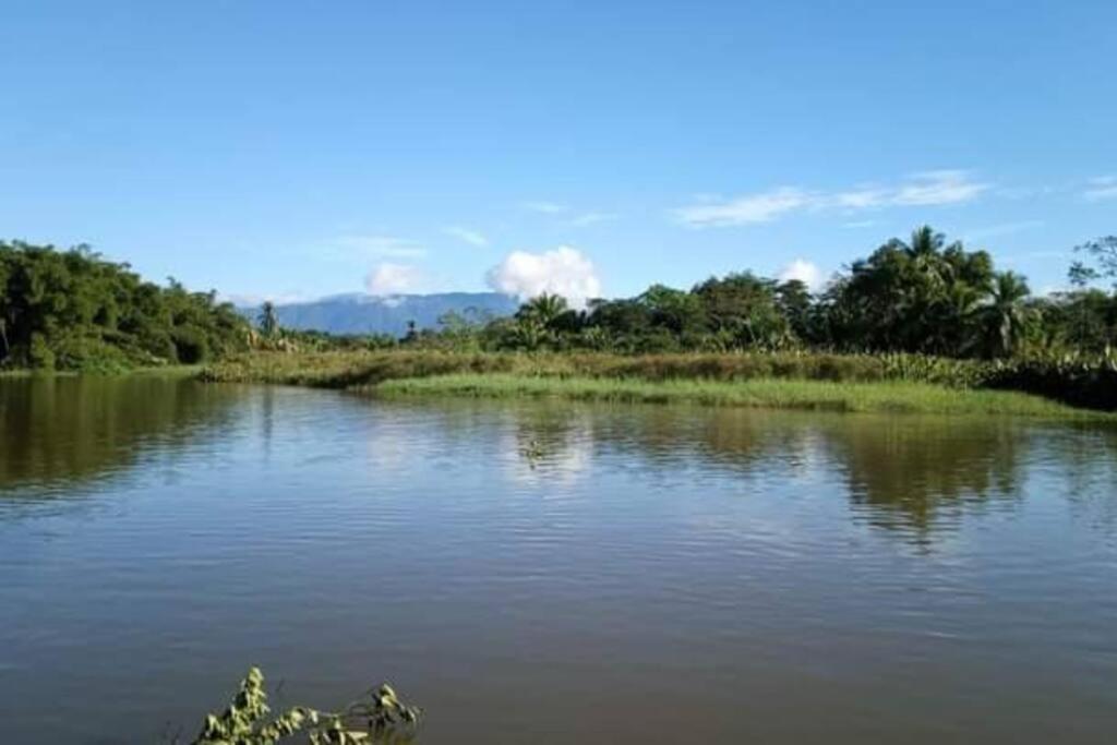 Casa Flor De Annia ~ Cozy 2 Bdrm On The River Sierpe ~ Walkable To Town Villa Exterior photo