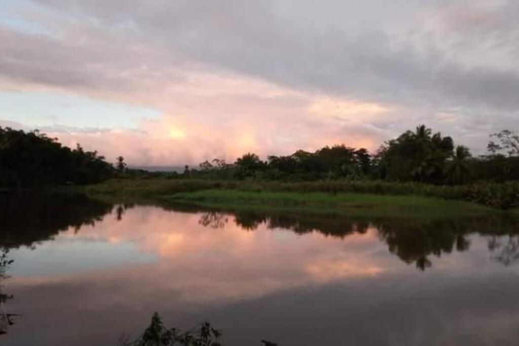 Casa Flor De Annia ~ Cozy 2 Bdrm On The River Sierpe ~ Walkable To Town Villa Exterior photo