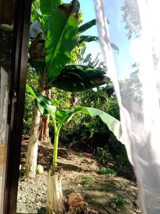 Casa Flor De Annia ~ Cozy 2 Bdrm On The River Sierpe ~ Walkable To Town Villa Exterior photo